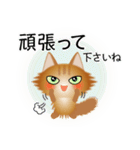 色々な猫10-3 長毛-立ち耳-茶（個別スタンプ：16）