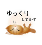 色々な猫10-3 長毛-立ち耳-茶（個別スタンプ：18）