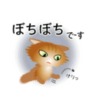 色々な猫10-3 長毛-立ち耳-茶（個別スタンプ：20）