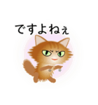 色々な猫10-3 長毛-立ち耳-茶（個別スタンプ：23）