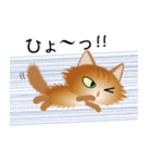 色々な猫10-3 長毛-立ち耳-茶（個別スタンプ：34）