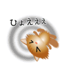 色々な猫10-3 長毛-立ち耳-茶（個別スタンプ：35）