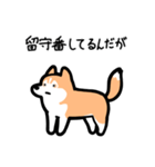 いつでも使えるハスキー（赤白 青眼）（個別スタンプ：6）