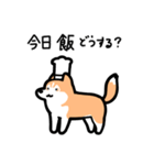 いつでも使えるハスキー（赤白 青眼）（個別スタンプ：21）