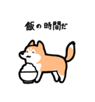 いつでも使えるハスキー（赤白 青眼）（個別スタンプ：22）