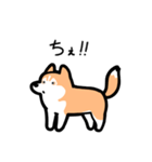 いつでも使えるハスキー（赤白 青眼）（個別スタンプ：35）
