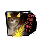 もみじねこスタンプ3（個別スタンプ：8）