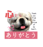 ぱるちゃんスタンプ2025  【第5弾】（個別スタンプ：1）