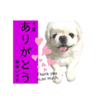 ぱるちゃんスタンプ2025  【第5弾】（個別スタンプ：2）