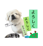 ぱるちゃんスタンプ2025  【第5弾】（個別スタンプ：6）
