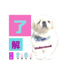 ぱるちゃんスタンプ2025  【第5弾】（個別スタンプ：7）