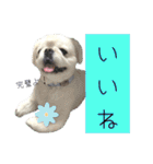 ぱるちゃんスタンプ2025  【第5弾】（個別スタンプ：10）