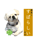 ぱるちゃんスタンプ2025  【第5弾】（個別スタンプ：11）