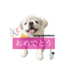ぱるちゃんスタンプ2025  【第5弾】（個別スタンプ：13）
