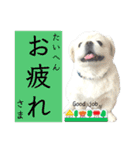 ぱるちゃんスタンプ2025  【第5弾】（個別スタンプ：14）