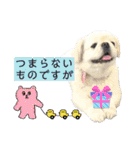 ぱるちゃんスタンプ2025  【第5弾】（個別スタンプ：15）