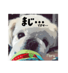 ぱるちゃんスタンプ2025  【第5弾】（個別スタンプ：18）