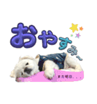 ぱるちゃんスタンプ2025  【第5弾】（個別スタンプ：21）