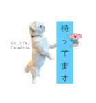 ぱるちゃんスタンプ2025  【第5弾】（個別スタンプ：22）