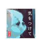 ぱるちゃんスタンプ2025  【第5弾】（個別スタンプ：23）
