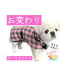 ぱるちゃんスタンプ2025  【第5弾】（個別スタンプ：24）
