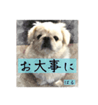ぱるちゃんスタンプ2025  【第5弾】（個別スタンプ：26）