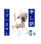 ぱるちゃんスタンプ2025  【第5弾】（個別スタンプ：32）