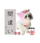 ぱるちゃんスタンプ2025  【第5弾】（個別スタンプ：33）