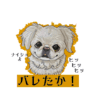 ぱるちゃんスタンプ2025  【第5弾】（個別スタンプ：34）