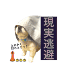 ぱるちゃんスタンプ2025  【第5弾】（個別スタンプ：35）