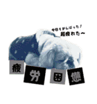 ぱるちゃんスタンプ2025  【第5弾】（個別スタンプ：37）