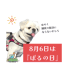 ぱるちゃんスタンプ2025  【第5弾】（個別スタンプ：39）