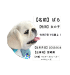 ぱるちゃんスタンプ2025  【第5弾】（個別スタンプ：40）