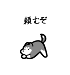 いつでも使えるハスキー（灰白 黒目）（個別スタンプ：17）