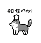 いつでも使えるハスキー（灰白 黒目）（個別スタンプ：21）
