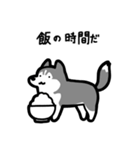 いつでも使えるハスキー（灰白 黒目）（個別スタンプ：22）