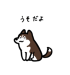 いつでも使えるハスキー（茶白 黒目）（個別スタンプ：13）