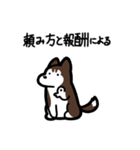 いつでも使えるハスキー（茶白 黒目）（個別スタンプ：29）
