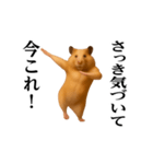 踊る！今これ界隈/キンクマハムスター（個別スタンプ：2）