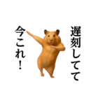 踊る！今これ界隈/キンクマハムスター（個別スタンプ：3）