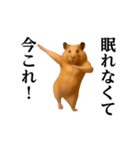 踊る！今これ界隈/キンクマハムスター（個別スタンプ：4）