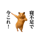踊る！今これ界隈/キンクマハムスター（個別スタンプ：5）