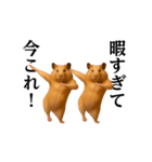 踊る！今これ界隈/キンクマハムスター（個別スタンプ：9）
