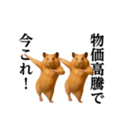 踊る！今これ界隈/キンクマハムスター（個別スタンプ：10）