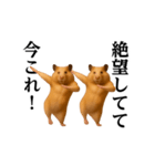 踊る！今これ界隈/キンクマハムスター（個別スタンプ：11）
