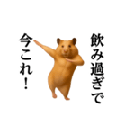 踊る！今これ界隈/キンクマハムスター（個別スタンプ：14）