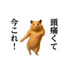 踊る！今これ界隈/キンクマハムスター（個別スタンプ：16）