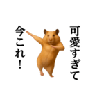 踊る！今これ界隈/キンクマハムスター（個別スタンプ：18）