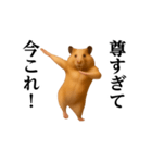 踊る！今これ界隈/キンクマハムスター（個別スタンプ：19）