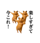 踊る！今これ界隈/キンクマハムスター（個別スタンプ：21）